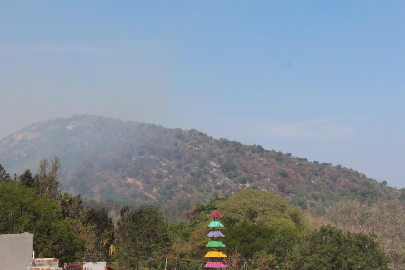 Olive Hills Yelagiri - Families Only - Full Duplex House - Yelagiriヴィラ エクステリア 写真